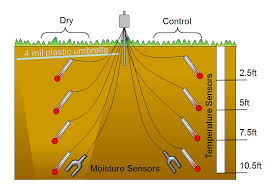 soil temperature experiment