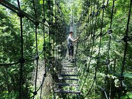 The zipline challenges or jungle canopy adventure have revitalised the park's long forgotten attraction as the malaysia's first agricultural park. Skytrex Adventure Park Kuala Lumpur