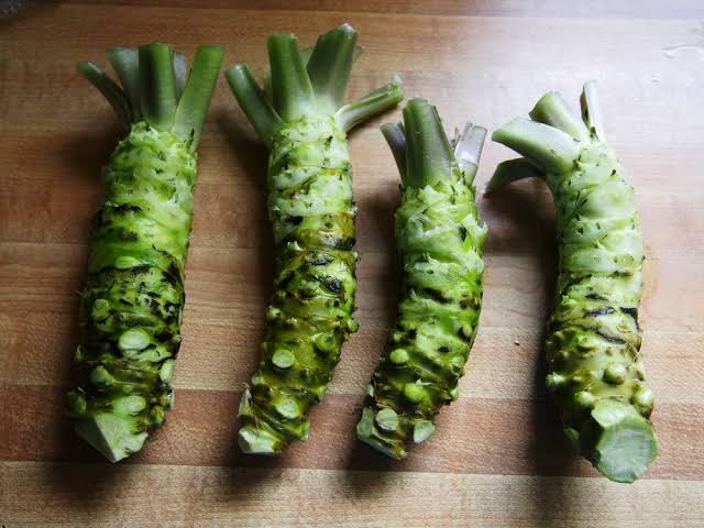 Mga resulta ng larawan para sa wasabi roots"