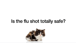 Maybe you would like to learn more about one of these? Articles Dr Cate