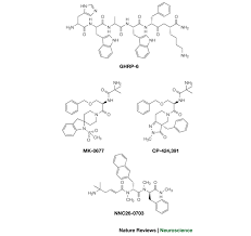 Chordify gives you the chords for any song. Ghrelin An Orexigenic And Somatotrophic Signal From The Stomach Nature Reviews Neuroscience