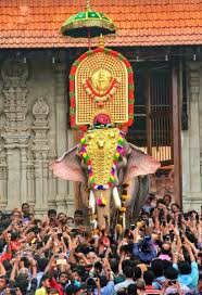 Pin By Midhun Sudhakaran On Indian Elephant Photography Kerala India Amazing India