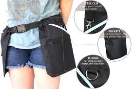 Dog Training Kit Bird Dog Training Videos Dog Training Videos Labradors Dog Training Houston P Agility Training For Dogs Training Your Dog Dog Training