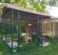 Outdoor Rabbit Run Igloo Rabbit Hutch Large Rabbit Run Outdoor Rabbit Run  Large Outdoor Rabbit Enclosure