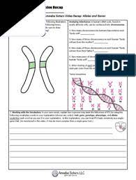 Explore dna structure/function, chromosomes, genes, and traits and how this relates to heredity! Alleles And Genes Handout Allele Phenotypic Trait