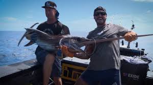 ITM HOOK ME UP! SERIES 2