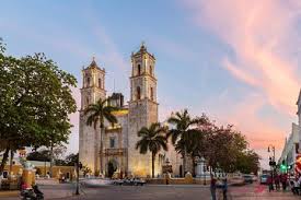 #3 best value of 167 places to stay in valladolid. Cancun To Las Coloradas Pink Flamingos Valladolid Day Trip 2021