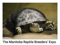 Manitoba Reptile Breeder Expo