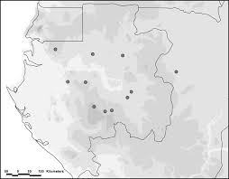 Image result for Haplocoelum