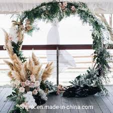 Find out why they're a great addition to your decor here. China Pampas Grass Dried Dried Plants Natural Craft Supply Pampas Grass Flowers Dried Flower Bouquet Wedding Arch Gold Wedding Decor China Dried Grass And Wedding Pampas Price