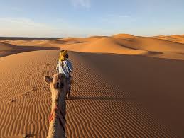 The Sahara Desert - Travelling Minions