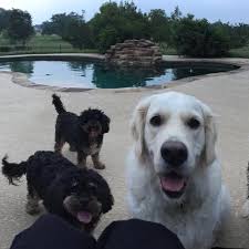 Jane Lehman (@lehman3197) • Instagram-foto's en -video's