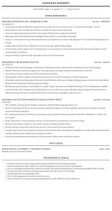 Infrastructure Business Analyst Resume Sample Mintresume