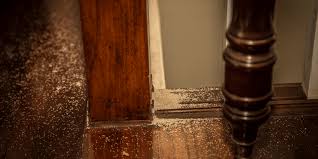 You can rely on our experience to provide you with professional we endeavor to place a inspector group signature on all our building and pest inspections by consistently exceed the australian inspection. Pre Purchase Termite Inspections Termite Building Inspections