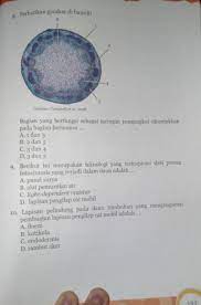 Kunci jawaban soal ulangan akhir semester 1 bahasa jawa kelas 1 sd a. Jawaban Ipa Kelas 8 Halaman 149 Blog Sekolah