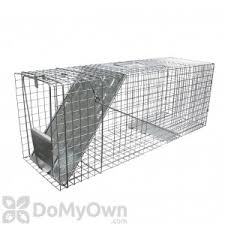 Depending on the cage design, the door will open in different ways, but most will allow you to unlatch it without putting your hand too close to the animal. Havahart Live Trap How To Live Trapping Havahart Cage