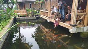 We did not find results for: Villa 2 Kamar Di Atas Kolam Ikan Youtube