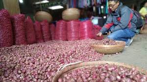 Berdasarkan informasi dari asosiasi bawang merah indonesia (abmi), harga bawang merah mengalami kenaikan akibat turunnya produksi di sentra produksi bawang merah di brebes, jawa tengah yang sumber: Jelang Puasa Ramadhan Harga Bawang Merah Dan Putih Merangkak Naik