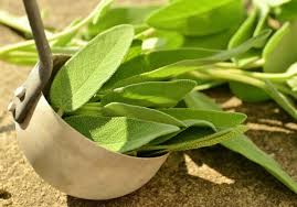 Cet acide, naturellement présent dans votre corps, est biodégradable. Les 8 Meilleures Astuces Naturelles Contre La Repousse Des Poils