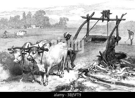 The Famine in Bengal: Indian Mode of Irrigation 1874 Stock Photo - Alamy