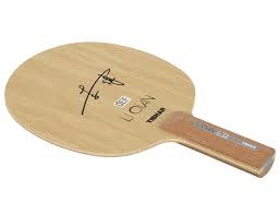 Li qian was quite young when his master had passed away. Li Qian Tibhar