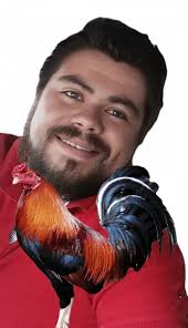 Will Trump administration ICE cockfighters? ICE busts two in first 100 days 