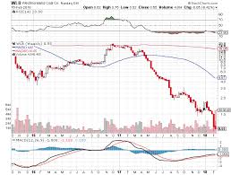 Penny Stocks And Risk This 97 Drop In 8 Months Teaches