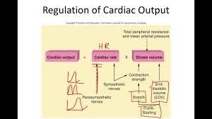 Image result for Cardiac Output