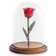 Factory supply preserved rose eternal rose forever rose flower and preserved rose gifts. Enchanted Rose In Glass Dome Red The Forever Rose