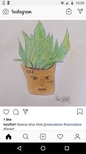 Later, he decided to shift to los angeles in order to build a. Nascar Aloe Vera Nascaraloe