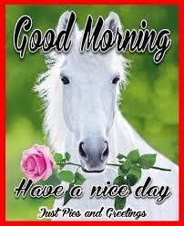 Good Morning Have A Nice Day Quote With A Horse Good Morning Good Day Quotes Monday Morning Quotes