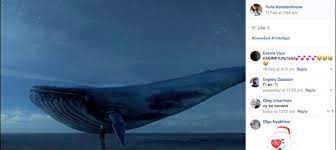 Este doblaje pertenece al corte del director. Ballena Azul El Estupido Reto Viral Que Acaba En Suicidio