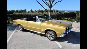 Image result for Tiger Gold 1965 GTO