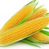 Here are other delicious ways to prepare corn on the cob. 1