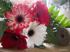 Both are just starting their springtime display. 31 Flowers That Start With G Ideas Flowers Planting Flowers Beautiful Flowers