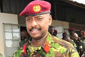 Uganda president yoweri museveni has promoted his son, muhoozi kainerugaba to the rank of lieutenant general. Museveni S Son Muhoozi Kainerugaba Refutes Monarchy Plan The African Exponent