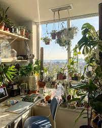 We did not find results for: Indoor Jungle Aesthetic Bedroom Aesthetic Rooms Indie Room