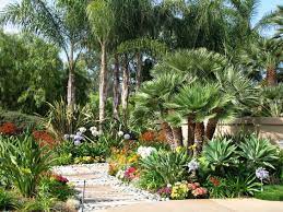 Lush Desert Tropical Landscaping With Lots Of Color And Variation Tropical Landscape Design Tropical Garden Design Tropical Landscaping