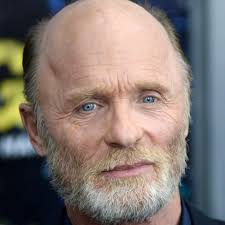 Watch The Face of Love (2013) Full Movie Free Online