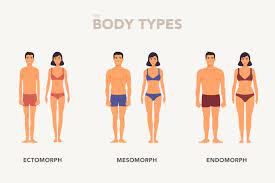 Body Types: Ectomorph, Mesomorph, Endomorph | How To Workout & Diet