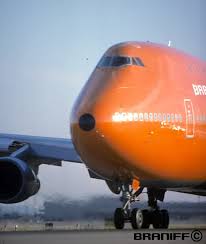 Image result for Natural Yellow 1999 Fleet