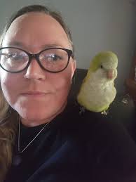 Birds with threatening auras