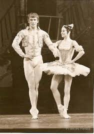Nureyev and Aldous, 1973 Don Quixote by Frances Henke