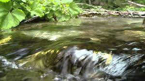 Speculatia nu ar fi una exagerata daca tinem cont de circuitul apei in natura. Cea Mai PurÄƒ È™i Mai EnergizantÄƒ ApÄƒ Din Lume Apa Vie De La 7 Izvoare Din Carpati Un Mister Chiar È™i Pentru Oamenii De È™tiinÈ›Äƒ È™tiinÈ›a Mister Ro