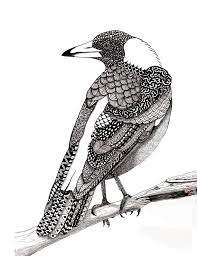 Australian Bird With Black Head And White Body Australian Magpie Pattern Art Drawing Zentangle Doodle Art Black And White Bird Print Magpie Art Pattern Art Black And White Birds