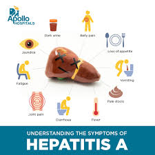 Image result for hepatitis symptoms
