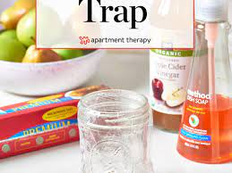 If you don't want fruit flies in your home, it's important to keep your home neat, take out the trash regularly, and not leave overripe fruit lying in the fruit bowl. Diy Fruit Fly Trap How To Make A Homemade Trap For Fruit Flies Apartment Therapy