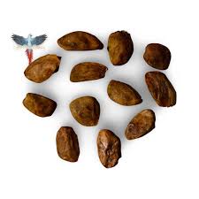 Image result for Hunteria umbellata