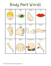 Pin On Speech Therapy