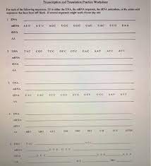 Dna transcription and translation activity middle school. Solved Transcription And Translation Practice Worksheet F Chegg Com